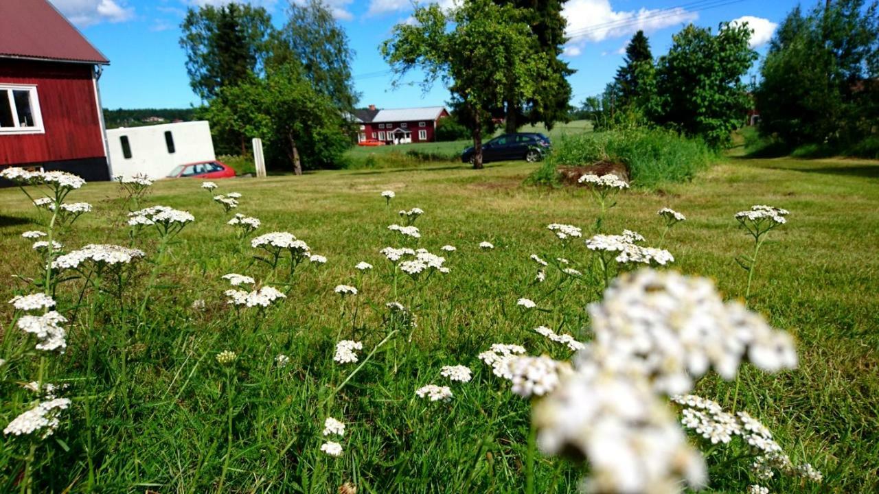 Fiberhusets Retreat: High-Speed Haven Near Hudiksvall Villa Exterior photo